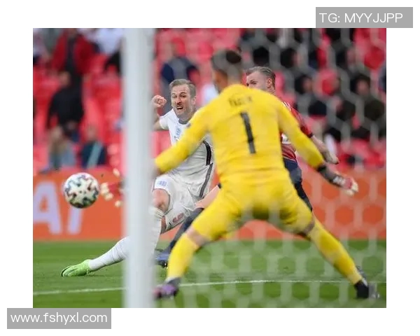 2004欧锦赛经典对决回顾捷克与荷兰的巅峰对抗与精彩瞬间