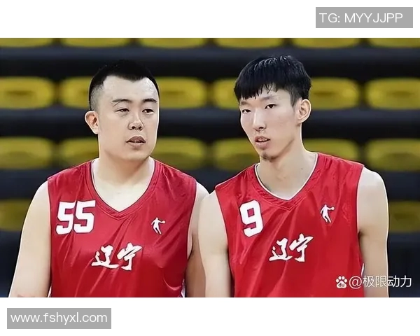 CBA激战辽宁队对决北京紫禁队精彩瞬间回顾与分析